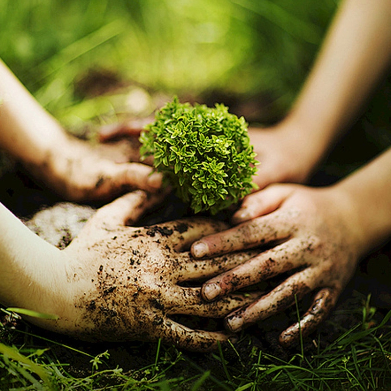 Social Responsibility